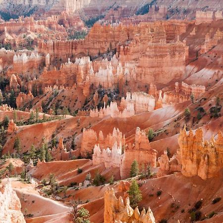 Summers Love Near Zion Np Washington Exteriér fotografie
